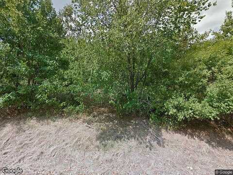 Rivermeade Loop, Galena, MO 65656