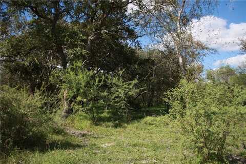 undefined, Sinton, TX 78387