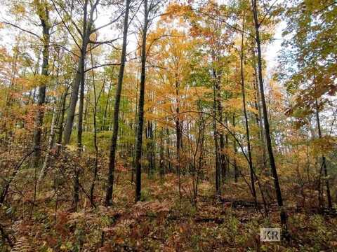 80 acres Wieman, Gladwin, MI 48624