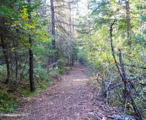 NNA 10.91ac French Gulch, Kingston, ID 83839