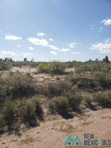 XXX SE Warm Springs RD, Deming, NM 88030