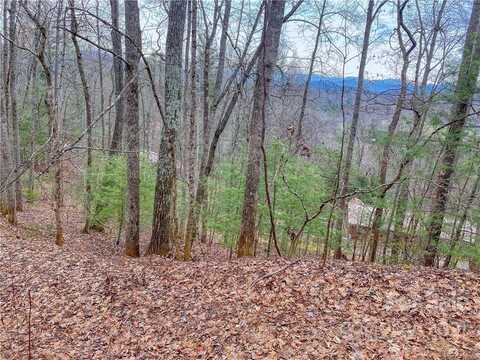 Indigo Lane unit: 122, Franklin, NC 28734