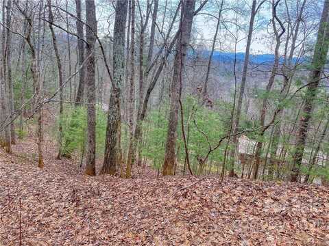 00 Indigo Lane, Franklin, NC 28734