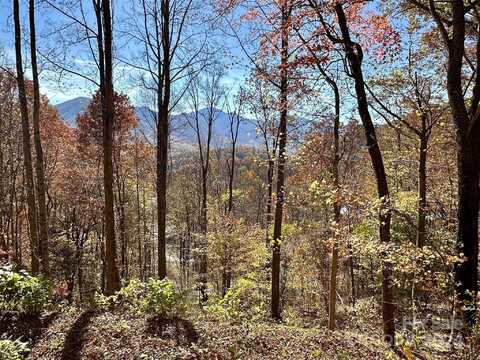 11 Trout Lily Lane, Maggie Valley, NC 28751