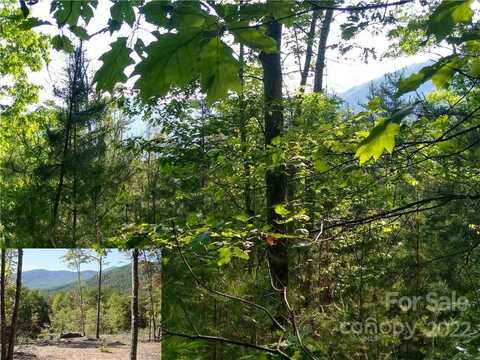 Lot 221 Davids Drive, Lake Lure, NC 28746