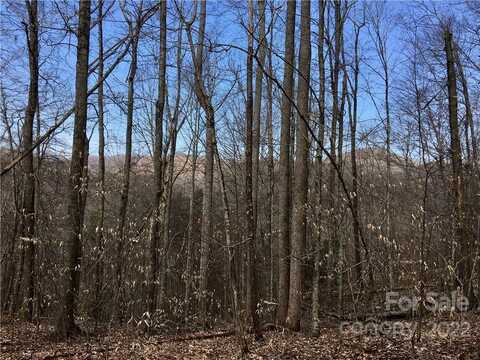 99 &57 Fern Hill Drive, Mars Hill, NC 28754