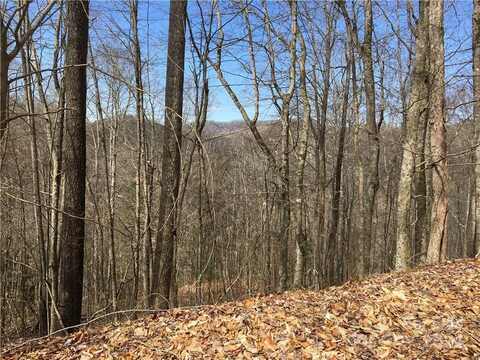 Tbd Fern Hill Drive, Mars Hill, NC 28754