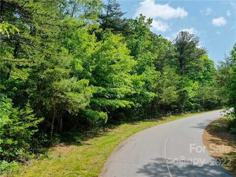 Eastman Place lot: 295, Mill Spring, NC 28756