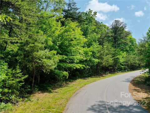 Lot 295 Eastman Place, Mill Spring, NC 28756