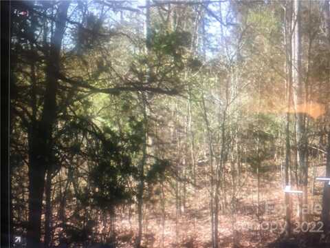 Acreage Mount Gallant Road, Rock Hill, SC 29732