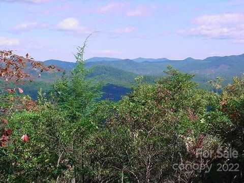 Hickory Nut Lane lot: 361, Lake Lure, NC 28746