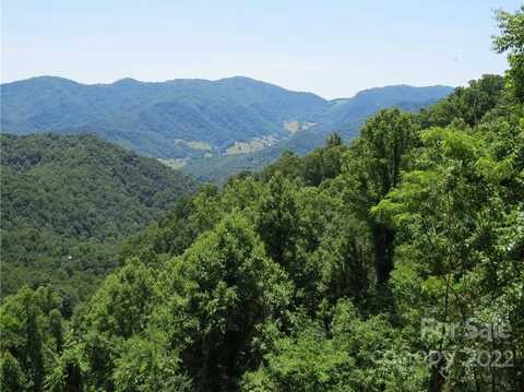 492 Freemont Drive unit: 77, Leicester, NC 28748