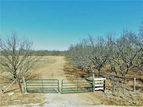 Tbd County Road 163, Bangs, TX 76823