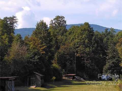 3600 Lake Adger Road, Mill Spring, NC 28756