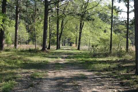 Burma Road, Reeves, LA 70658