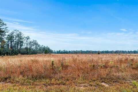 Alcock Lot 8 Road, Longville, LA 70652