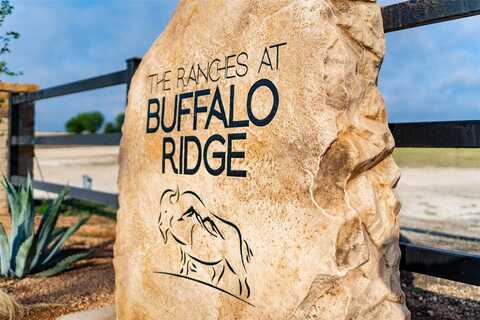 6604 Buffalo Ridge Circle, Godley, TX 76044