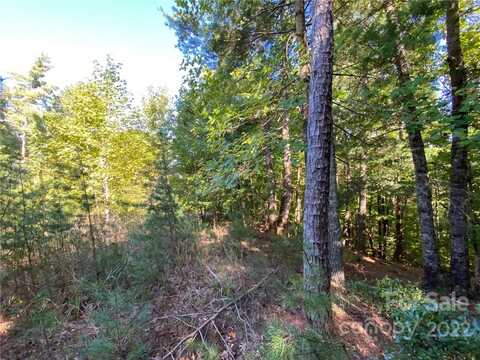 260 Sycamore Drive, Nebo, NC 28761