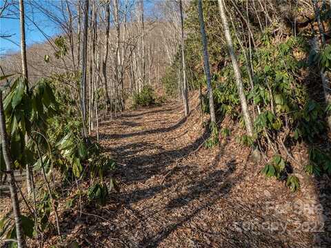 99999 Highview Drive, Maggie Valley, NC 28751