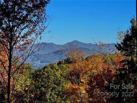 Utah Mountain Road lot: #25, Waynesville, NC 28785