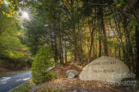 99999 Shining Rock Path, Horse Shoe, NC 28742