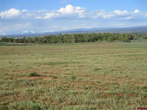 TBD 17.9 Lot 11, Cortez, CO 81321