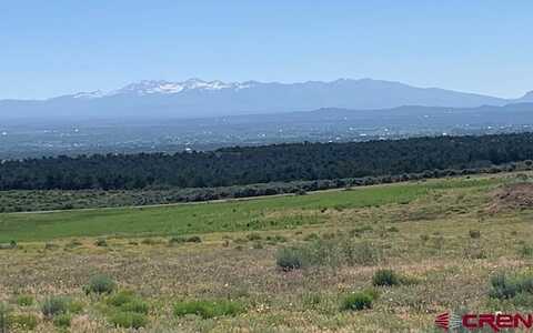 TBD 17.9 Lot 12, Cortez, CO 81321