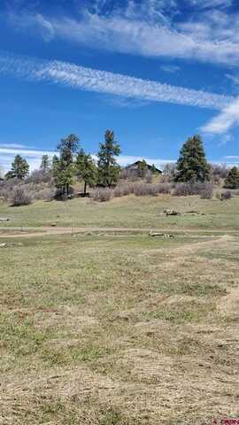 1335 Hills Circle, Pagosa Springs, CO 81147