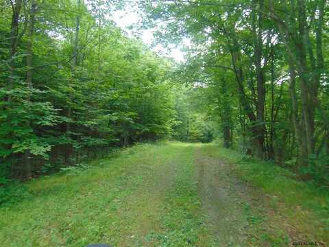 0 MACE Road, Gilboa, NY 12076