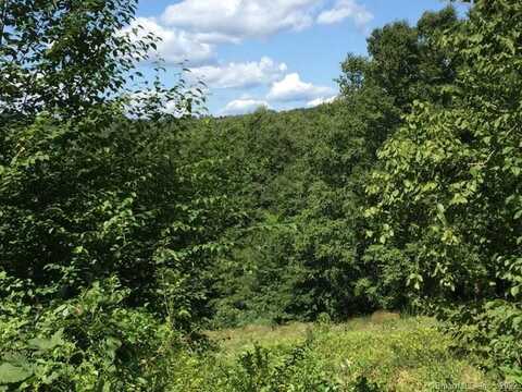 Lot 2 Davenport Road, Roxbury, CT 06783