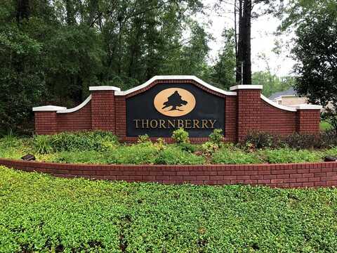209 Thornberry Place, Ashford, AL 36312