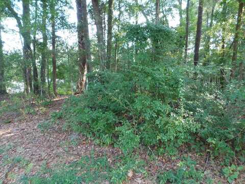 0 Briar Cliff Rd Lot 5 BK E, Ozark, AL 36360