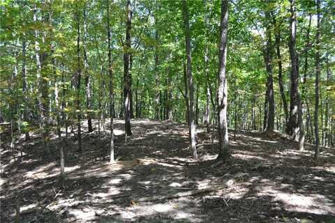 00008 Brushy Mountain Road, Rockmart, GA 30153