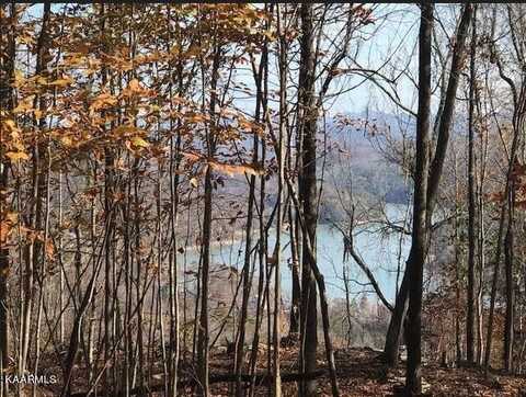 Lot 122 Settlers Point, New Tazewell, TN 37825