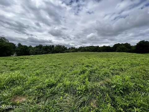 Lot 133 Cinnabar Drive, New Tazewell, TN 37825