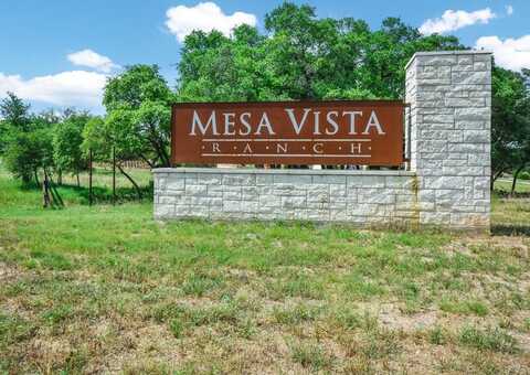 516 Red Yucca CT, Liberty Hill, TX 78642