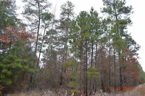 Lot 1 John Dean Road, Gilmer, TX 75644