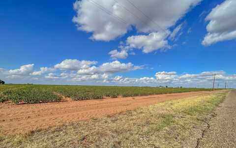 6769 Foster Road, Ropesville, TX 79358