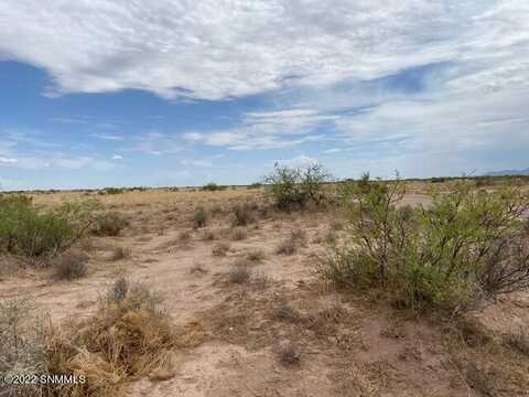 0022 SE Camilon Road, Deming, NM 88030