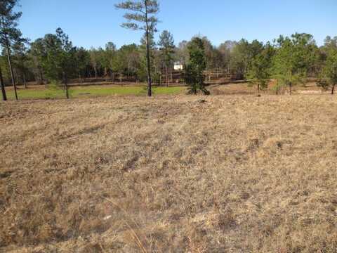 15 Mary Russell Rd., Ellisville, MS 39437