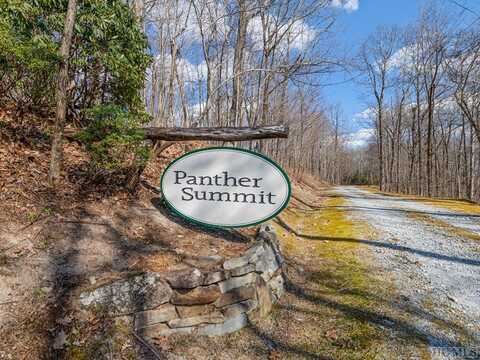 PS 1&2 Panther Summit Drive, Lake Toxaway, NC 28747