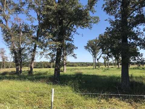 TRACT 4 CR 4506, Athens, TX 75752