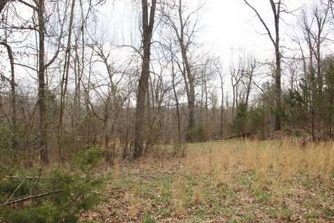 Lot 24 Dogwood Drive, Omaha, AR 72662