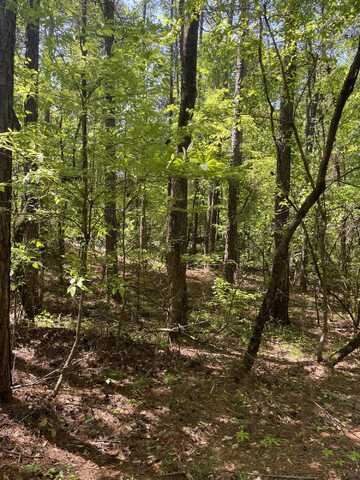 Lot 90 Tall Pine Place, Dadeville, AL 36853