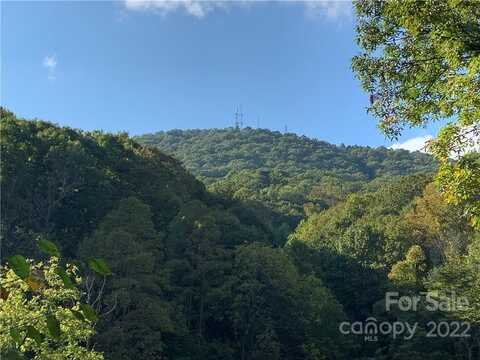 107 Rice Road, Asheville, NC 28806