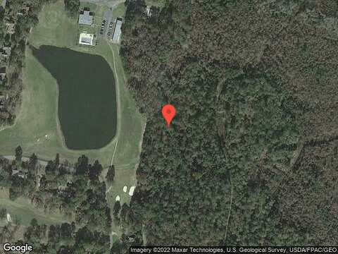 Fairview, HINESVILLE, GA 31313