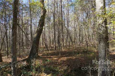 10.64 Ac Burree Road, Clover, SC 29710