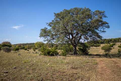 Tbd Cedar Valley RD, Salado, TX 76571