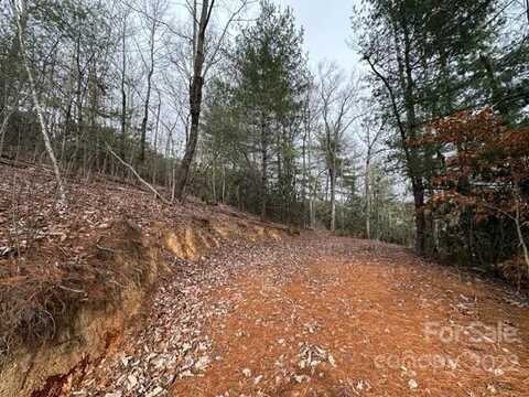 0000 Silverglen Way, Hendersonville, NC 28792