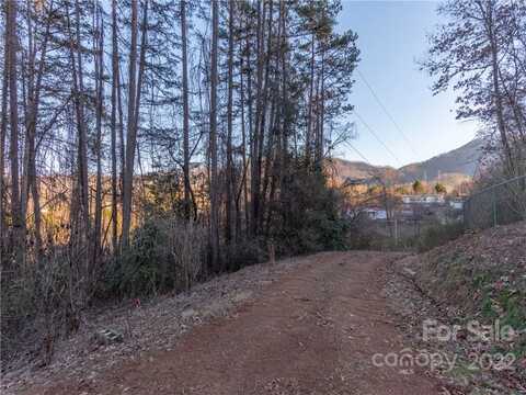 00 Homestead Avenue, Bryson City, NC 28713